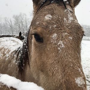 Meet your Posher, Cheryl